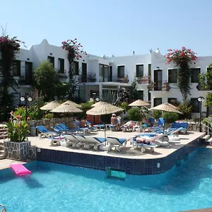 Bronze Gümbet